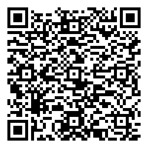 微信浓情端午，接粽有礼-114家青海小程序游戏二维码