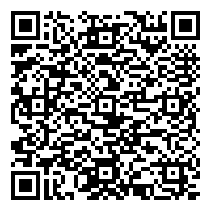 微信金鹏99广场金猪送福 红包雨小程序游戏二维码