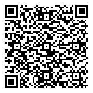 微信8.9元疯抢衡东皇家迪智尼价值100元的新春套票小程序游戏二维码