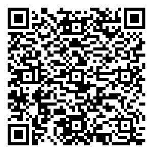 微信五星红旗护卫队小程序游戏二维码