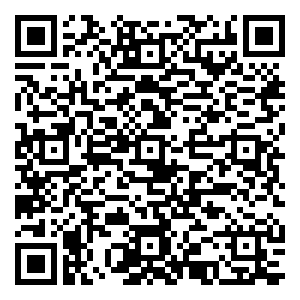 微信扫码领现金【临颍金佰汇店】小程序游戏二维码