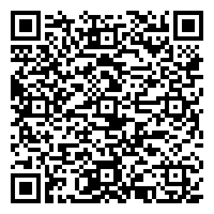 微信皮秒砍价大行动小程序游戏二维码