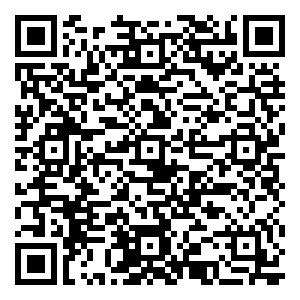 微信Free品牌- 小巧玲珑 （10月k马尾大名城）小程序游戏二维码