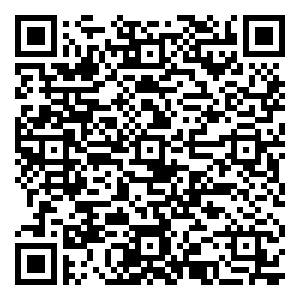 微信沈阳4月FREE小程序游戏二维码