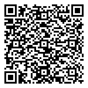 微信Free-小巧玲珑扭蛋机（粤中10月）小程序游戏二维码
